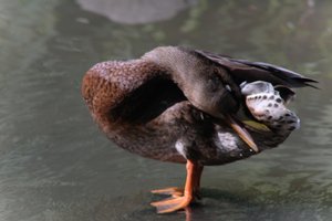 DSCF9962.JPG