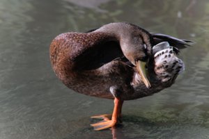 DSCF9963.JPG