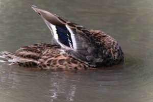 DSCF9966.JPG
