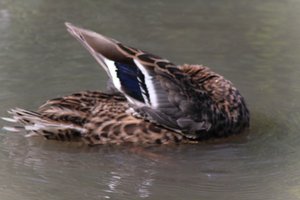 DSCF9967.JPG