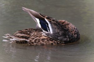 DSCF9968.JPG