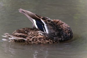 DSCF9969.JPG