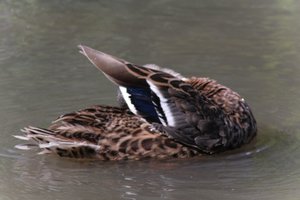 DSCF9970.JPG