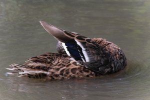 DSCF9971.JPG