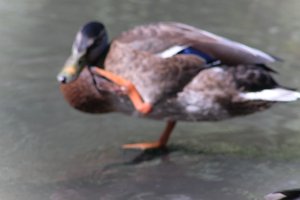 DSCF9978.JPG
