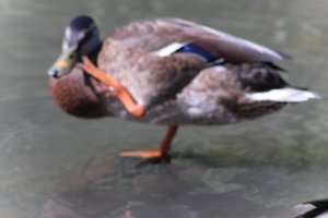 DSCF9979.JPG