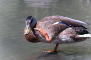 DSCF9983.JPG