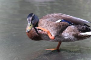 DSCF9984.JPG