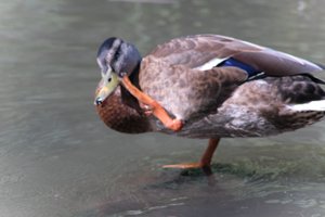 DSCF9986.JPG