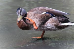 DSCF9988.JPG