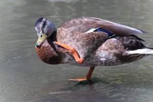 DSCF9989.JPG