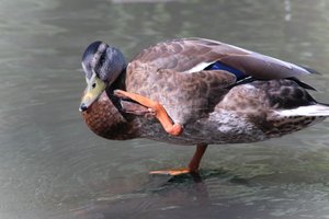 DSCF9990.JPG