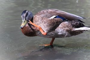 DSCF9991.JPG