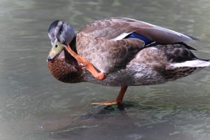 DSCF9992.JPG