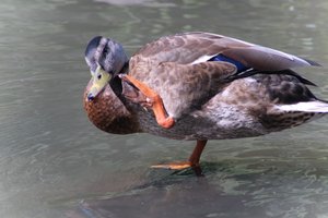 DSCF9994.JPG