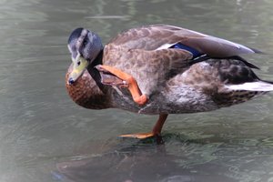 DSCF9995.JPG
