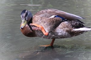 DSCF9996.JPG