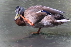 DSCF9997.JPG
