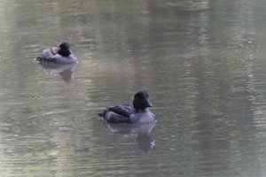 DSCF0148.JPG