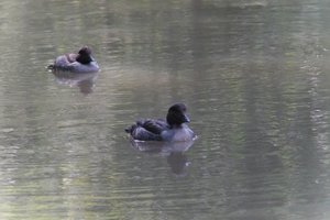DSCF0151.JPG