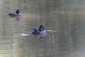DSCF0157.JPG