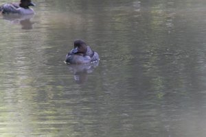 DSCF0165.JPG