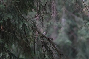 DSCF0522.JPG