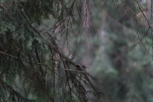 DSCF0524.JPG