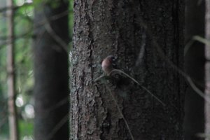 DSCF0533.JPG