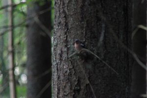 DSCF0538.JPG