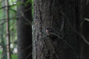 DSCF0539.JPG