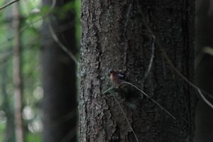 DSCF0543.JPG