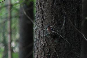 DSCF0546.JPG