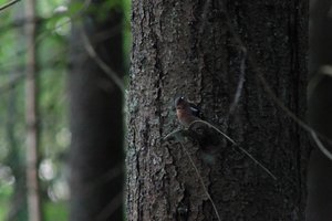 DSCF0548.JPG
