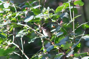 DSCF0616.JPG