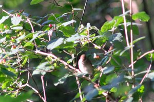 DSCF0630.JPG
