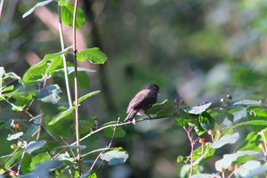 DSCF0641.JPG