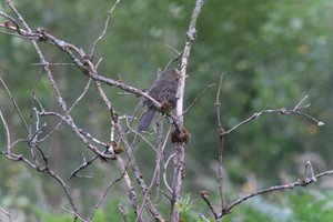 DSCF0739.JPG