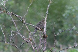 DSCF0751.JPG