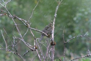 DSCF0752.JPG