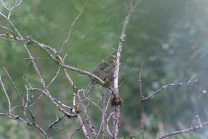 DSCF0757.JPG