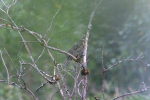 DSCF0758.JPG