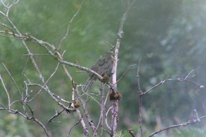 DSCF0759.JPG