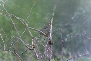 DSCF0760.JPG