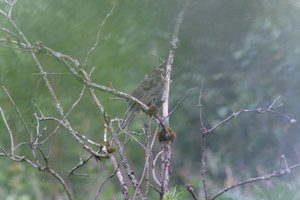 DSCF0762.JPG