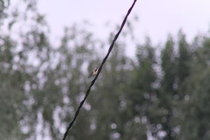 DSCF0815.JPG