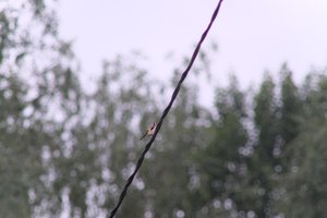 DSCF0818.JPG