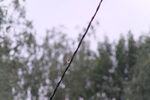 DSCF0819.JPG