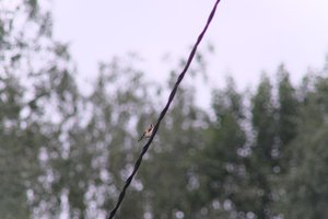 DSCF0820.JPG
