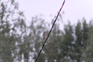 DSCF0822.JPG